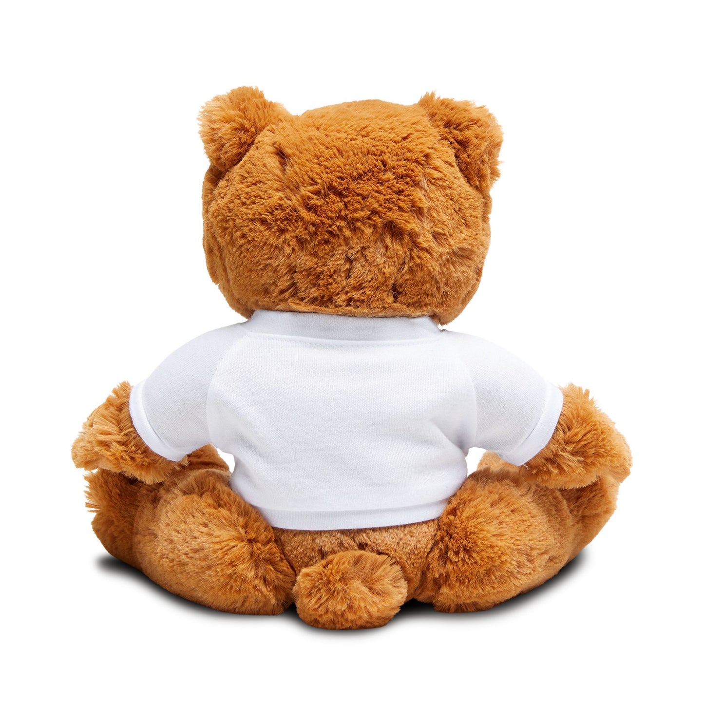 Merch Wars Product #030 Teddy Bear Plush with Personalized T-Shirt by El Negro Chocolate V1